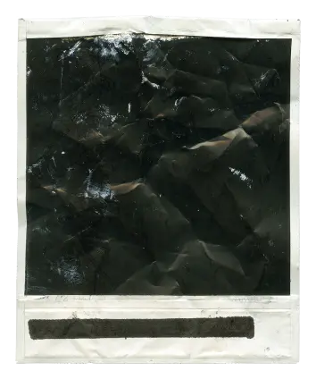 Polaroid